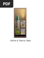 Download DADU Profile by Aasia Farooqi SN54588869 doc pdf