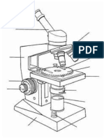 Esquema de Microscopio Sin Nombres