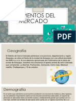 Segmentos Del Mercado PDF