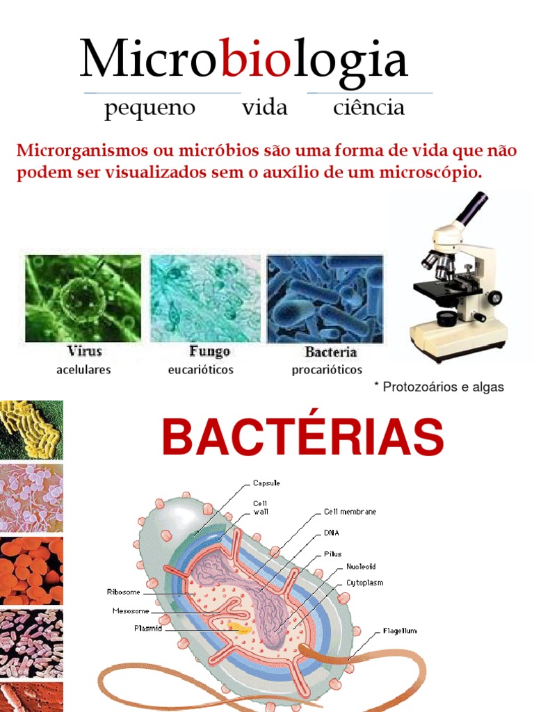 Aula 1 - 2020-2 - Introdução À Microbiologia Estrutura e Morfologia ...