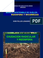 Rizosfera y Micorrizas