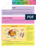 Teoría del color: Cómo funciona la visión cromática