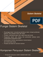 Sistem Skeletal