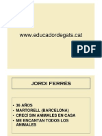 Curso Jordi Ferres - Gatos