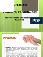 5.INFLAMASI