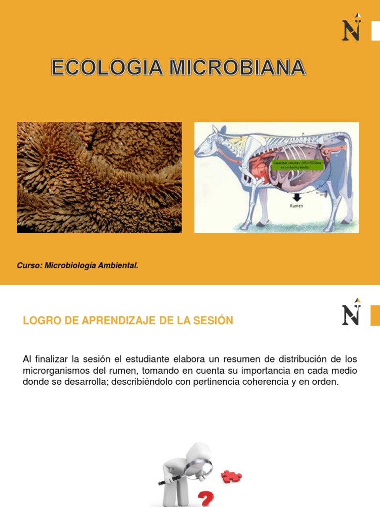 Ecología Microbiana en el Rumen | PDF | Microorganismo | Las bacterias
