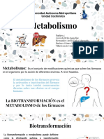 metabolismo (1)