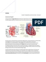 Skenario 5 (Jantung)