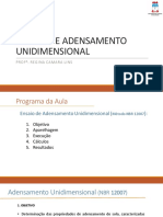 Aula1LS2 EnsaioAdensamentoUnidimensional