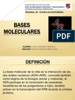 Bases Moleculares (Exposición)
