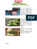 Elaborar Un Recetario de Alguna Planta Medicinal