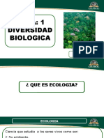 Tema Nº 1 - Diversidad Biologica