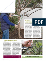 Deciduous Ornamental Trees Deciduous Ornamental Trees: Alan's Pruning Guide Alan's Pruning Guide
