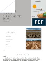 Hormonal Changes During Abiotic Stress