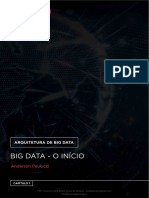 Big Data Analytics - Capítulo 1 - BigData o Início - Anderson Paulucci_e_Leandro Rubim