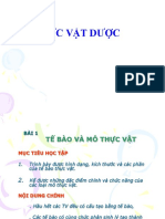 BÀI 1 & 2. Tế bào và Mô