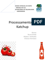 Processamento Da Katchup