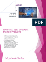 Modelo de Stetler PDF