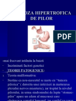 184682226-Stenoza-Hipertrofica-de-Pilor
