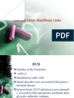 Bovine Virus Diarrhoea Virus