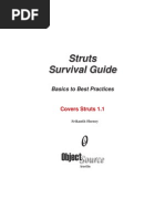 Struts Survival Guide