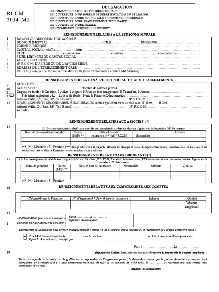 Demande d'immatriculation au RCCM | PDF