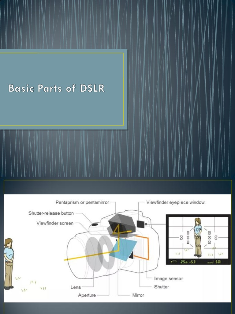Basic Parts of DSLR PDF Camera Digital Single Lens Reflex Camera
