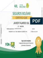 Certificado (30) ITDH