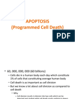 Apoptosis MPhil PHD Class