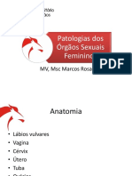 Patologias do aparelho reprodutor da fêmea (1)
