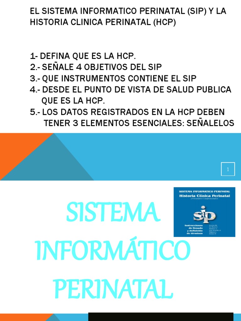 Sistema Informático Perinatal | PDF | Parto | El embarazo