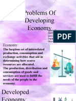 Problems of Developing Economy