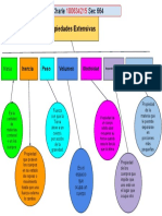 Mapa Conseptual P.Extensiva