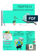 Triptico en Word - A01