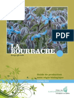 Guide Bourrache