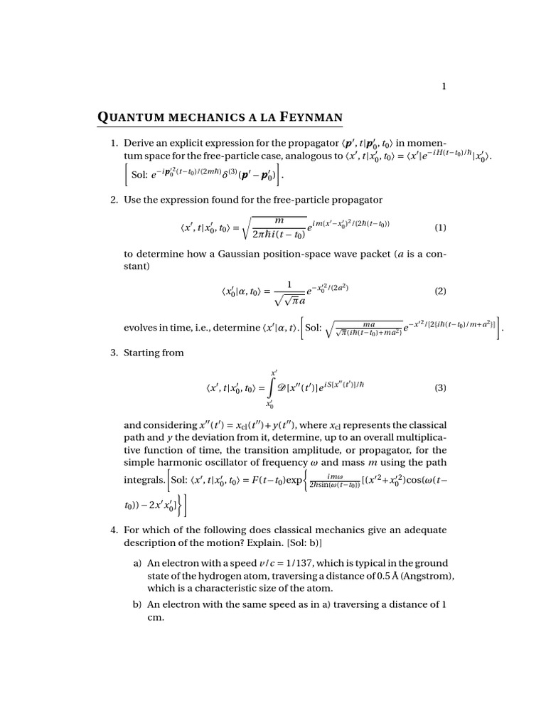 Quantum Mechanics via Feynman and Schwinger Path Integrals A