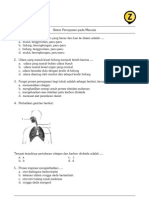 Sistem Pernapasan Manusia