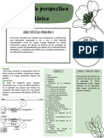 Protocolo de Perspectiva Historica