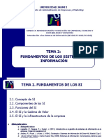 Tema2 - AE1010-Sistemas Informacion