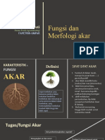 Fungsi Dan Morfologi Akar