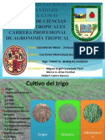 Exposicion de Alimenticios de Trigo