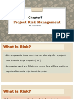 Project Risk Management Guide