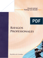 RIEGOS PROFESIONALES EJRLB