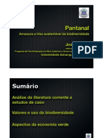 Pantanal_Ameacas_JoseSabino