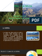 La Selva y La Sierra