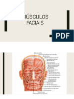 Facial muscles functions