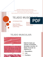 Tejido Muscular Final 2