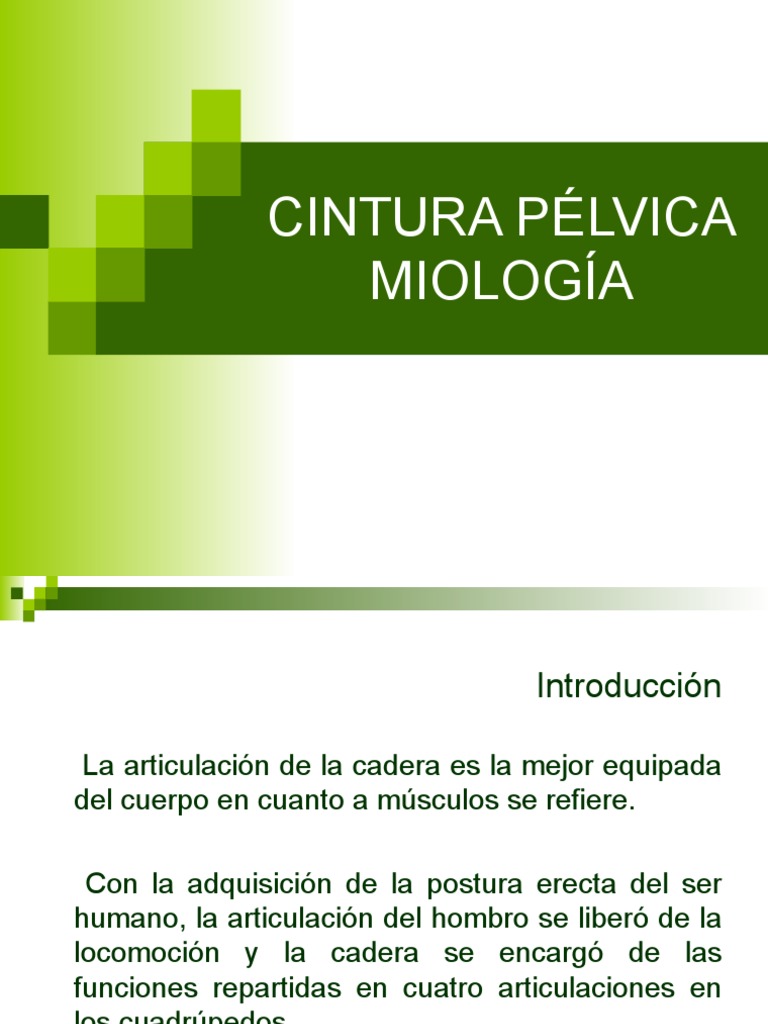 12 Nalga | PDF | Tejido suave | Extremidades (anatomía)