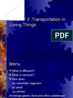 Chapter 3:transportation in Living Things