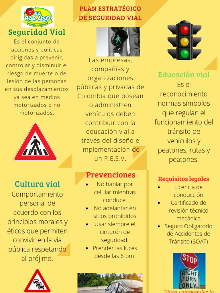 Seguridad Vial Pdf